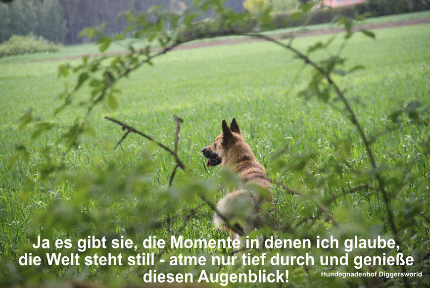Ja, es gibt sie, die Moment, in denen ich glaube die Welt steht still. Atme nur tief durch und genieße diesen Augenblick!