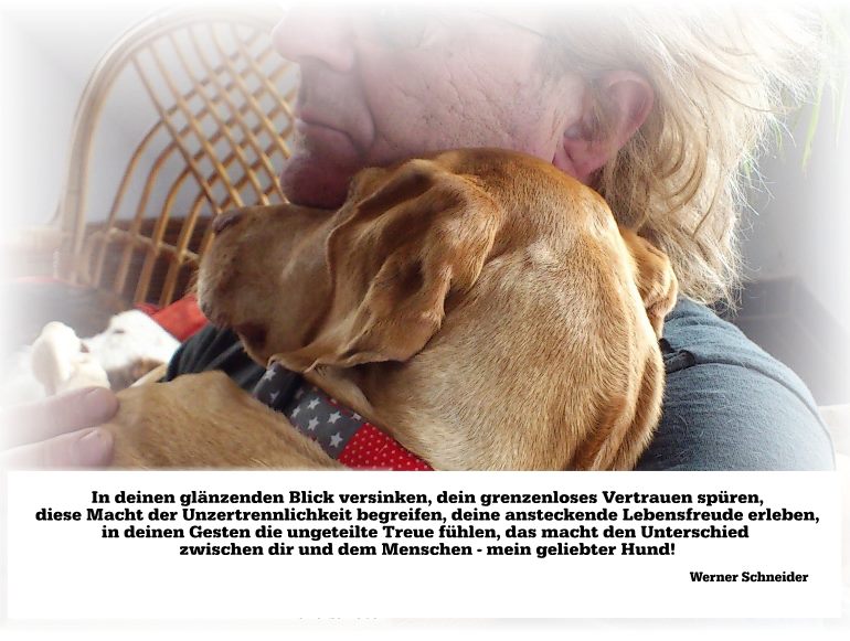 In deinem glänzenden Blick versinken, dein grenzenloses Vertrauen spüren, diese Macht der Unzertrennlichkeit begreifen, deine ansteckende Lebensfreude erleben, in deinen Gesten die ungeteilte Treue fühlen, das macht den Unterschied zwischen dir und dem Menschen - mein geliebter Hund. Werner Schneider